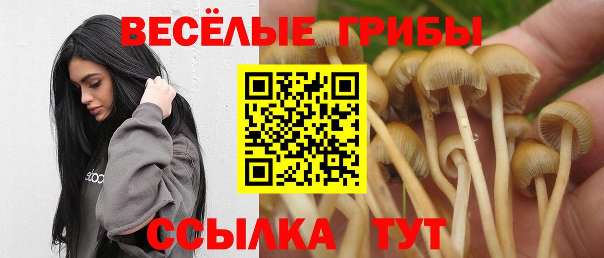 Псилоцибиновые грибы ЛСД Тула