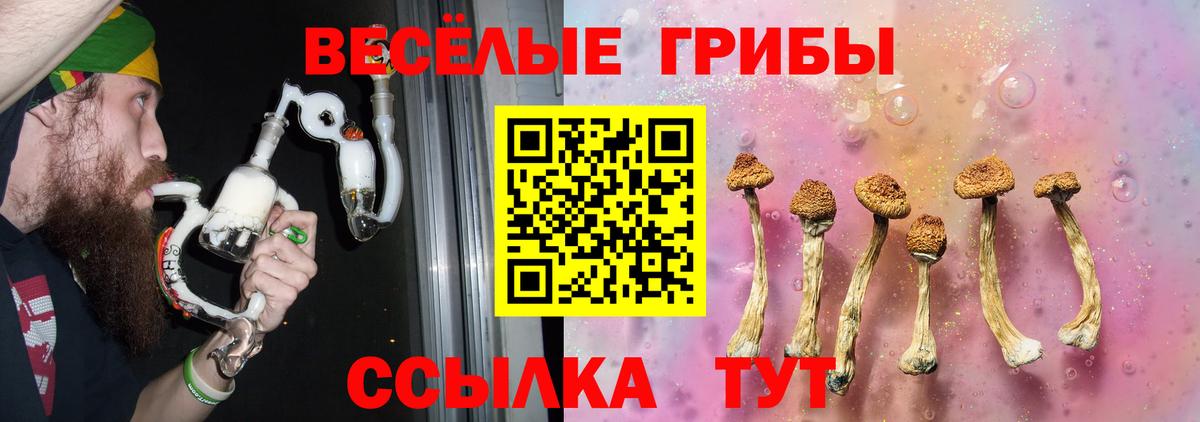 Тула  Псилоцибиновые грибы Magic Shrooms  Вход с VPN  Псилоцибиновые грибы MAGIC MUSHROOMS 