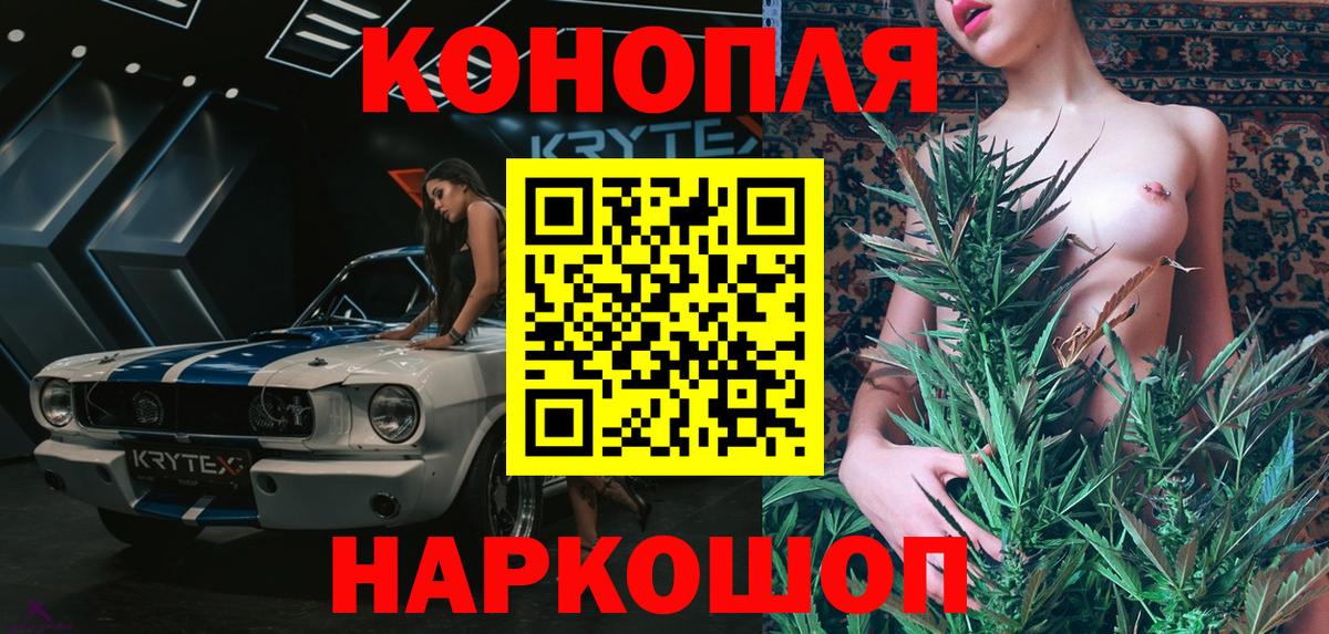 Бошки Шишки планчик Тула